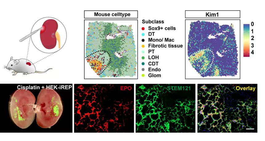 2025.11.27.jpg 2025.11.27.jpg